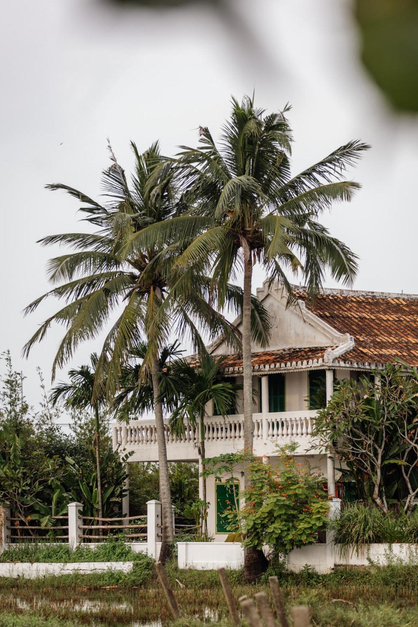 Heron House Hoi An Eksteriør bilde