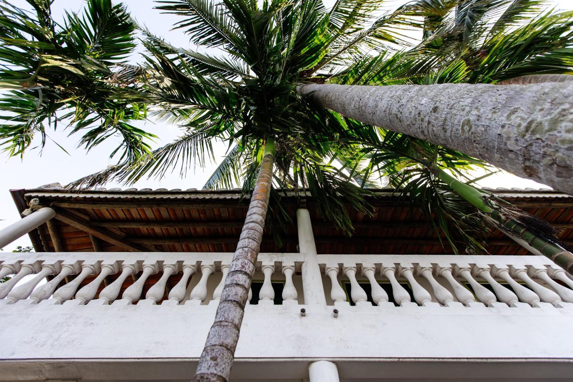 Heron House Hoi An Eksteriør bilde